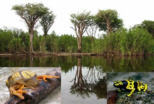 Parque Nacional de Ja�, misterioso encanto de Brasil